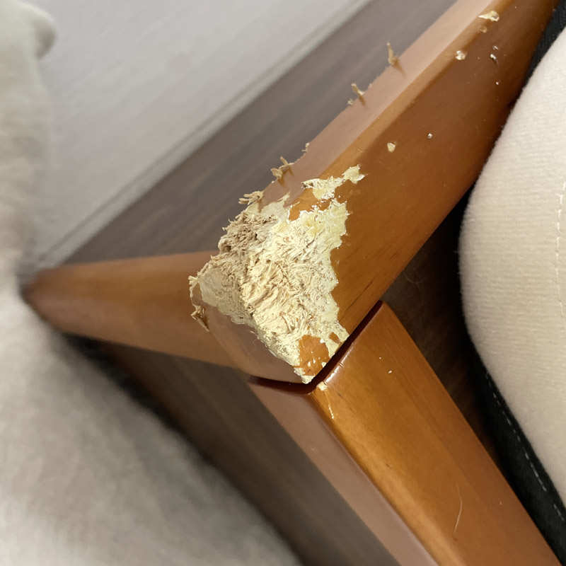 家具缺角填充修复 木器破损修补膏 高强度耐磕碰 不脱落 环保无气