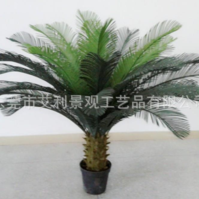 铁盆树盆树栽热带植物室内装饰景假AL-ST-01盆景绿植阳台真植仿物