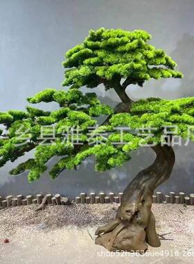 仿12351松树客迎松罗汉松假美人松玄关造景装饰新中式真楼下绿植