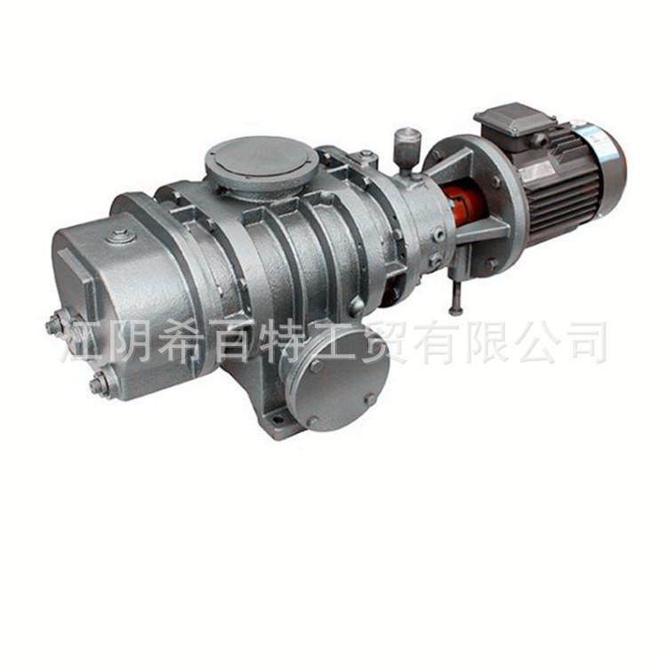 凯尼真空泵KMBD540真空泵无振动低噪音凯尼真空泵设备直供