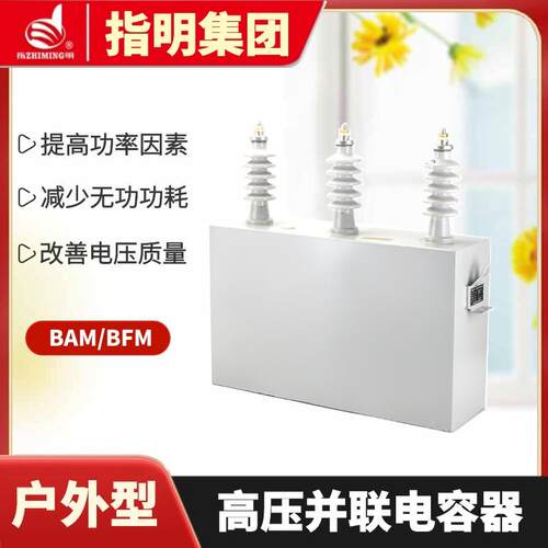 指明集团单相高压电力电容器BFM11√3-100-1W高压并联电容器12kv