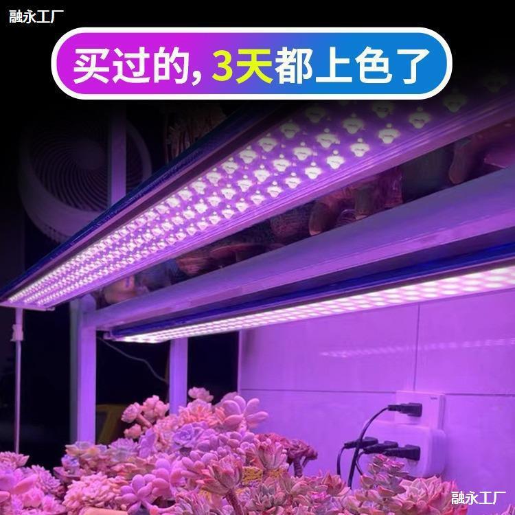 全光谱多肉专用补光灯家用上色仿太阳室内绿植专用植物全光补光灯