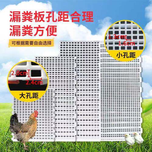 鸡用漏粪板塑料鸡舍家禽漏粪网格板鸡鸭鹅漏屎地垫养殖鸽子漏屎板