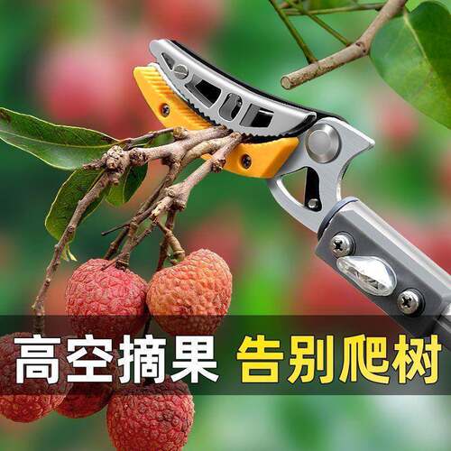 DAI枝剪摘剪剪刀伸多功果能加长缩果园采摘龙眼荔枝桂高圆高空摘