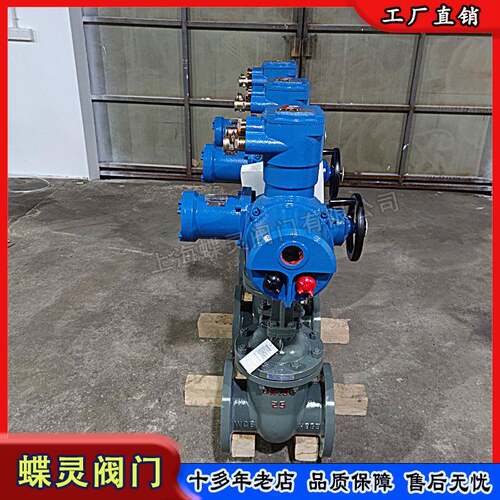 供应矿用隔爆型电动闸阀ZJ941H-40CDN250煤安防爆型常温高压型