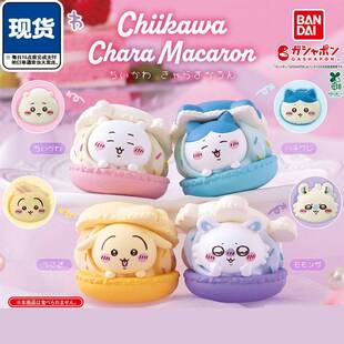 限购5/CHIIKAWA马卡龙造型 吉伊哈奇乌萨奇飞鼠 现货