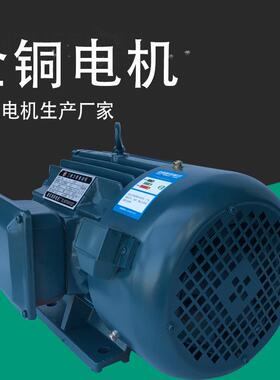 浙江瑞安YLJ100-6N-6卧式三相力矩电动机