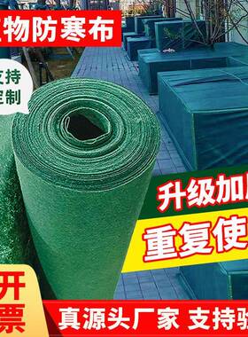 绿色土工布园艺茶果树木防寒布绿化工程防尘养护坡柑橘防冻不织布