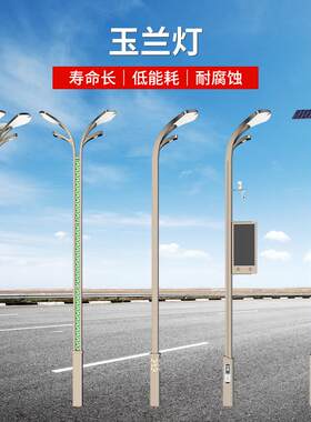 6米10米中华玉兰灯市政公路广场高杆路灯室外装饰组合LED玉兰灯