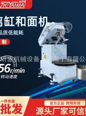 离缸和面机 商用小型20L30L40L双速双动和面机 可加工定制揉面机