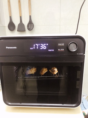 为何热销松下 NU-SC101W 电烤箱真实使用揭秘，报价参考