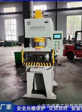 定制63吨160吨C型单臂液压机整平冲切单柱压力机数控伺服压装机