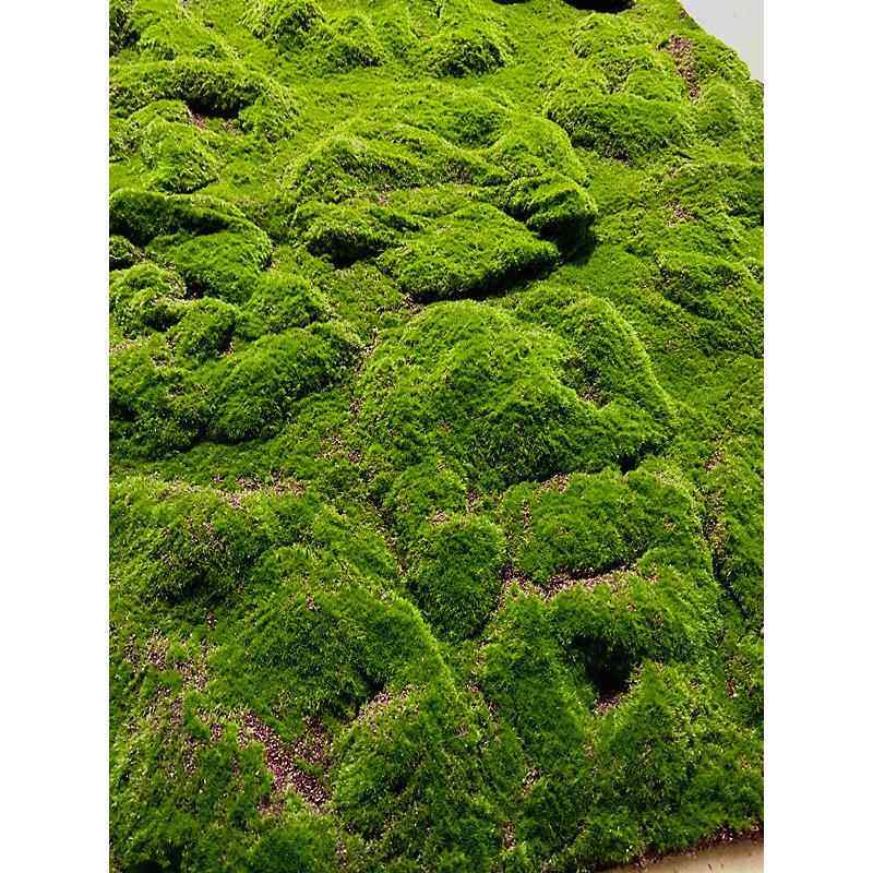 人造苔藓地毯永恒之花草坪苔藓墙绿色植物墙花园文化馆软装沙盘景