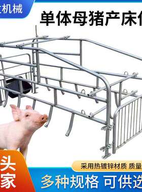 单体母猪床位新款热锌管母猪产床分隔镀现围产栏货RLA供应母猪产