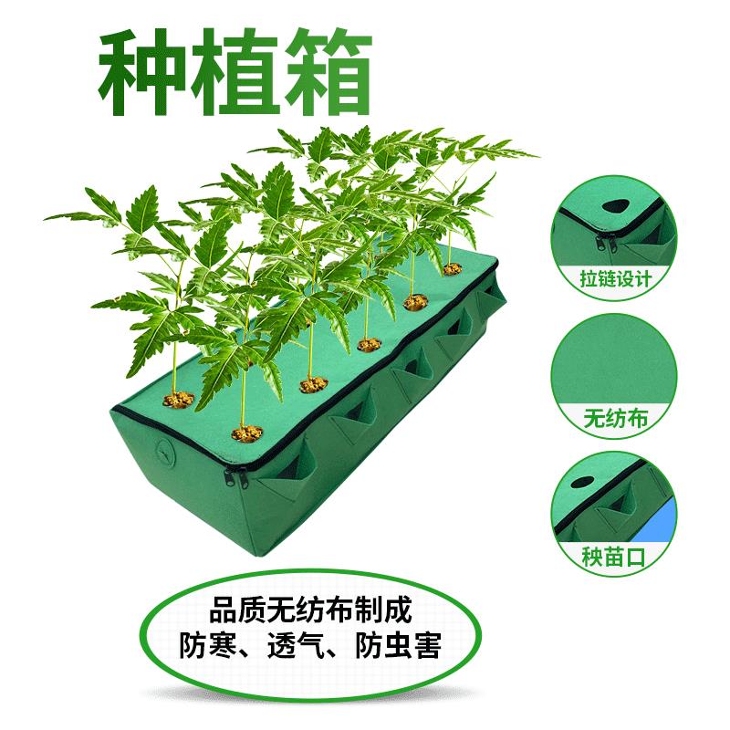 毛毡种植箱无纺布果蔬种植箱植物生长袋顶楼阳台花卉长方形种植盆图片