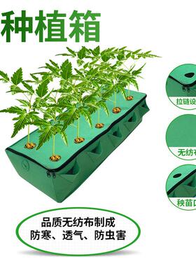 毛毡种植箱无纺布果蔬种植箱植物生长袋顶楼阳台花卉长方形种植盆