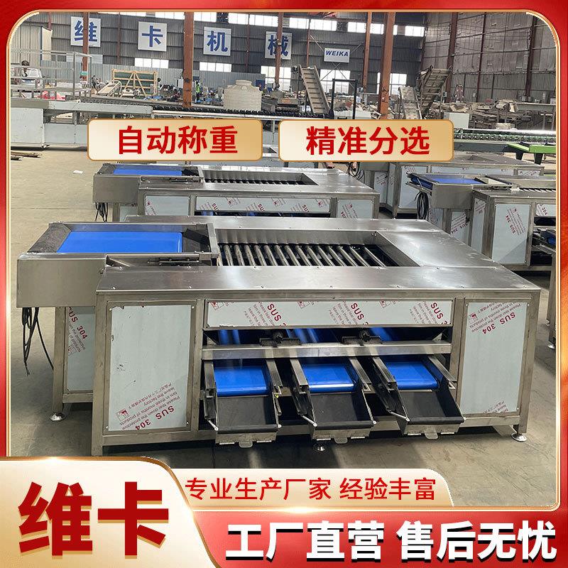 橙子直径选选机每小时可分选1吨高效率分级机304不锈钢材质