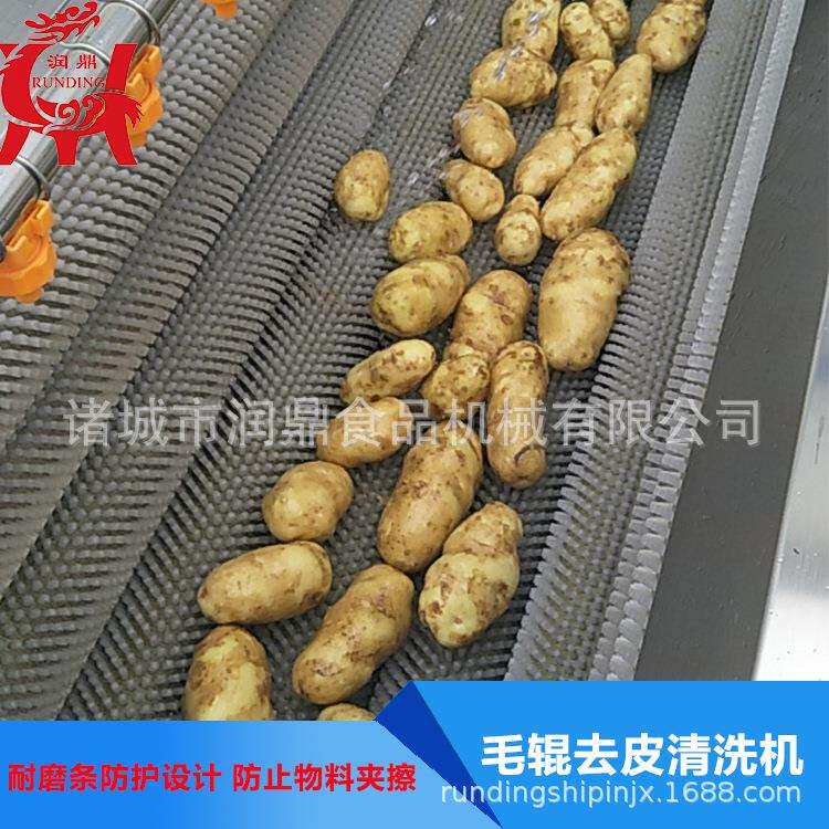 供应土豆毛辊去皮清洗机马蹄去皮清洗机蔬菜水果毛辊喷淋清洗机