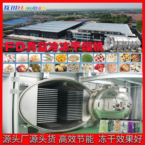 玫瑰花冻干机 酸奶块草莓芒果全自动低温冷冻干燥机 真空脱水设备