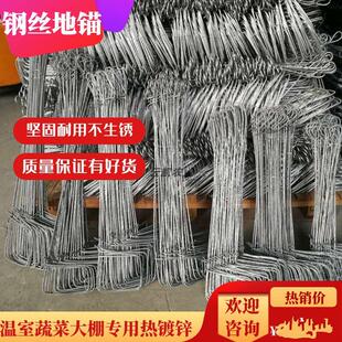 大棚用地锚热浸镀锌防锈大棚配件钢丝地毛拉线农用地钩拉线地锚地