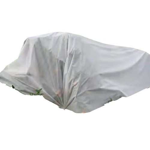 果树防寒无纺布柑橘防霜冻蔬菜保温防寒水稻育秧覆盖苗床铺基底布