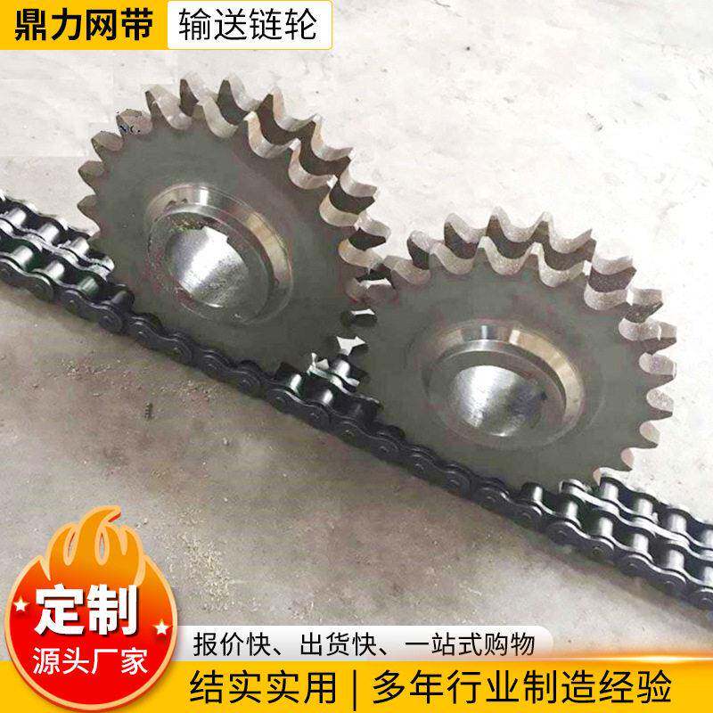 大节距输送链条链轮 双排机械配件工业链条不锈钢链轮工业链轮