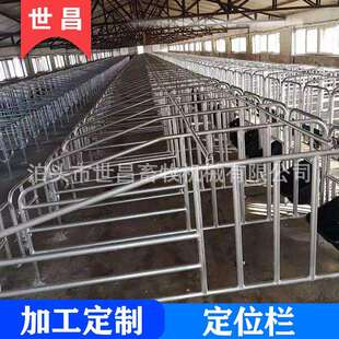 怀孕母猪加宽猪栏连体定位栏饲喂设备厂家优惠