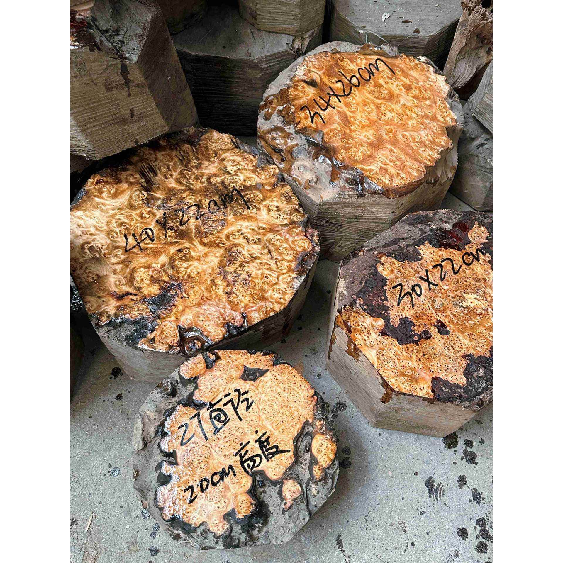 密集树瘤碗料 藏碗料 蒙古碗料 树瘤原木原料 工艺品树瘤料