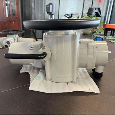 厂家直供DZW180系列执行器 普通开关型 转矩100-2500N·m可选380V