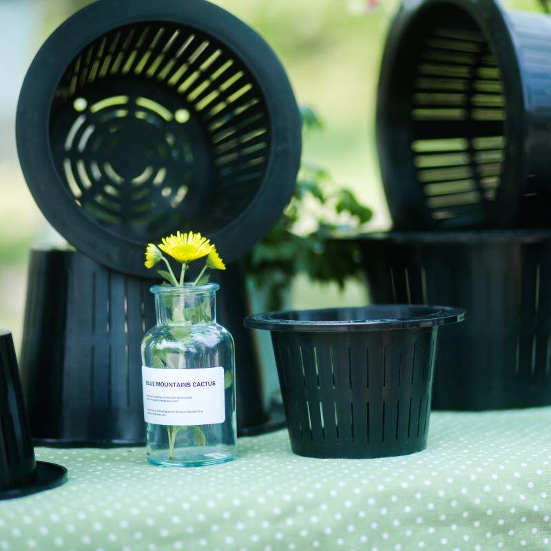 蔬厂定植篮系家应塑供水培定植篮料无土栽培水耕水培菜定植篮