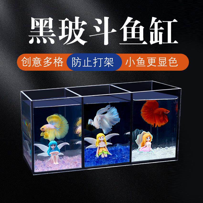 斗鱼缸桌面创意多格黑玻防打架促发色免换水斗鱼连体桌面超白鱼缸