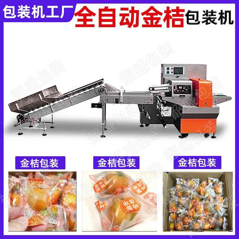 全自动金桔包装机广西融安脆蜜金橘打包机单个小青桔独立套袋机