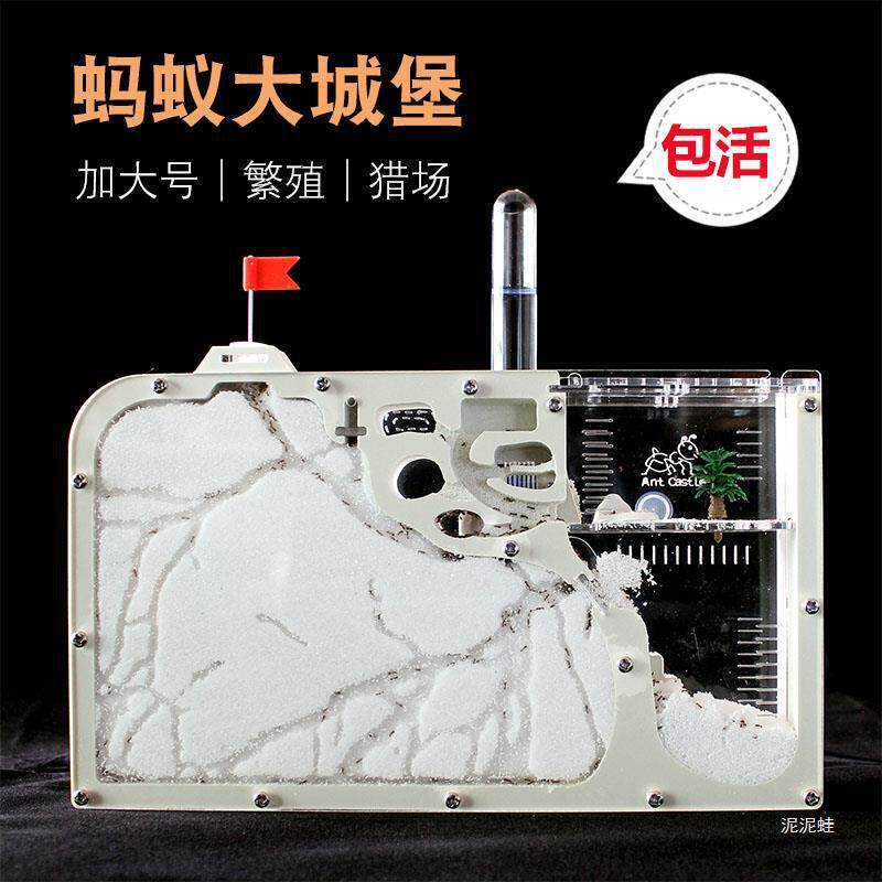 蚂蚁城堡蚂蚁工坊小宠物送蚁后群生态沙土巢沙堡蚁巢窝家园王国