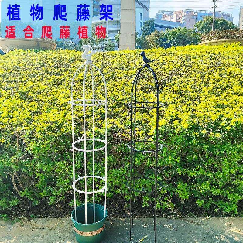 花架爬藤架月季铁线莲黄瓜蓝雪花庭院黄金葛室内阳台植物爬藤支架