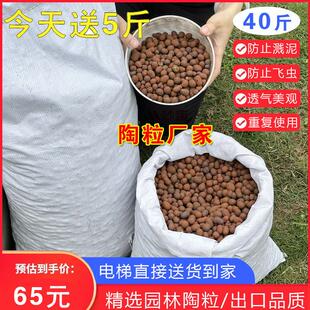 精选中陶粒!地栽树池花池花盆花槽花箱铺面陶瓷颗粒防虫透气疏水