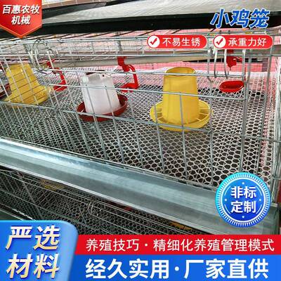 立式小鸡笼育雏鸡笼防锈镀锌养殖设备鸡舍养鸡笼厂家供应