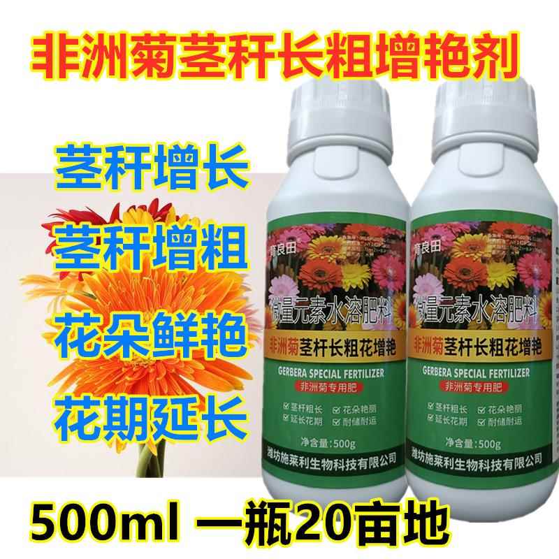 非洲菊扶郎花养花专用叶面肥茎秆增粗独头菊艳耐寒抗倒伏花期延长