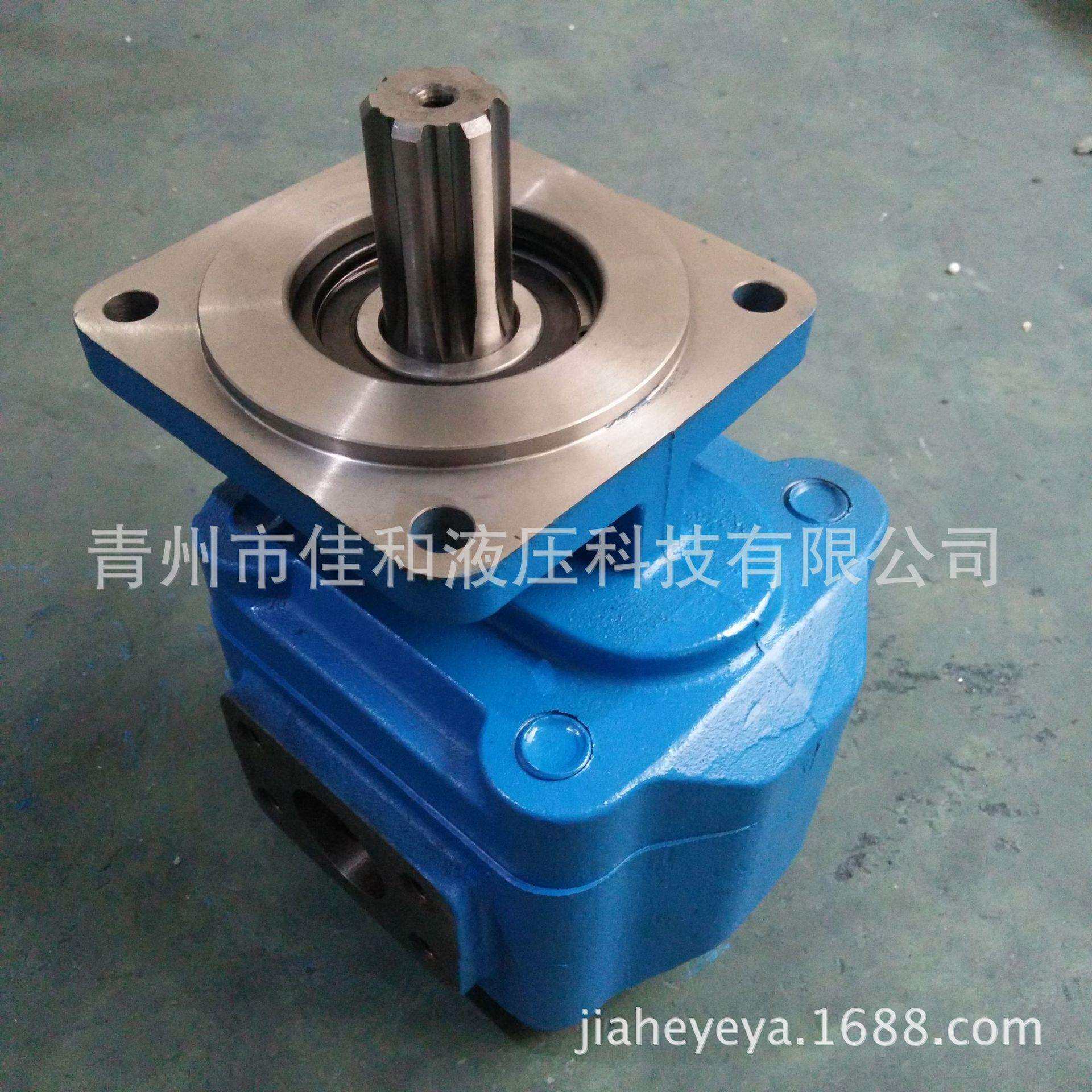 供应 常林装载机工作泵 常林装载机齿轮油泵厂家 装载机双联泵