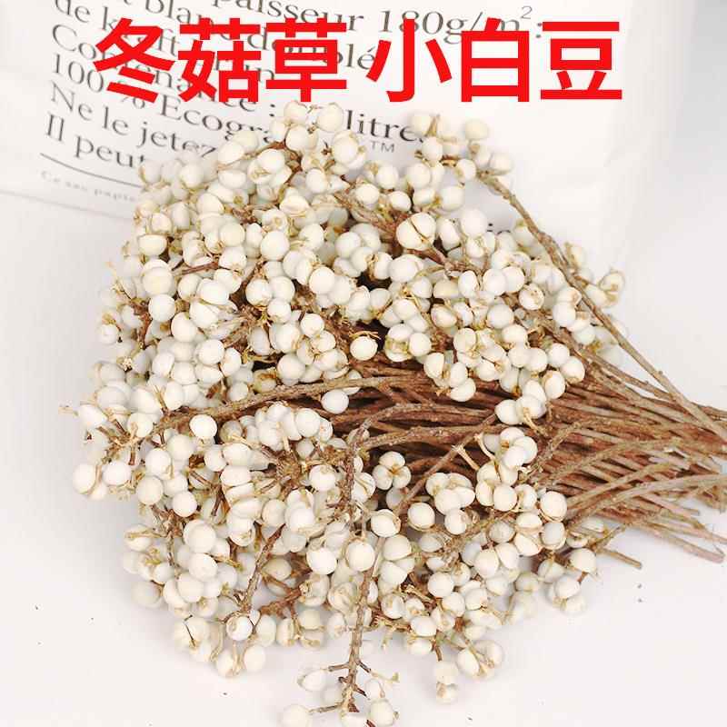 新款直销小白果冬菇草干花家具装饰DIV插花素材客厅摆件永生花