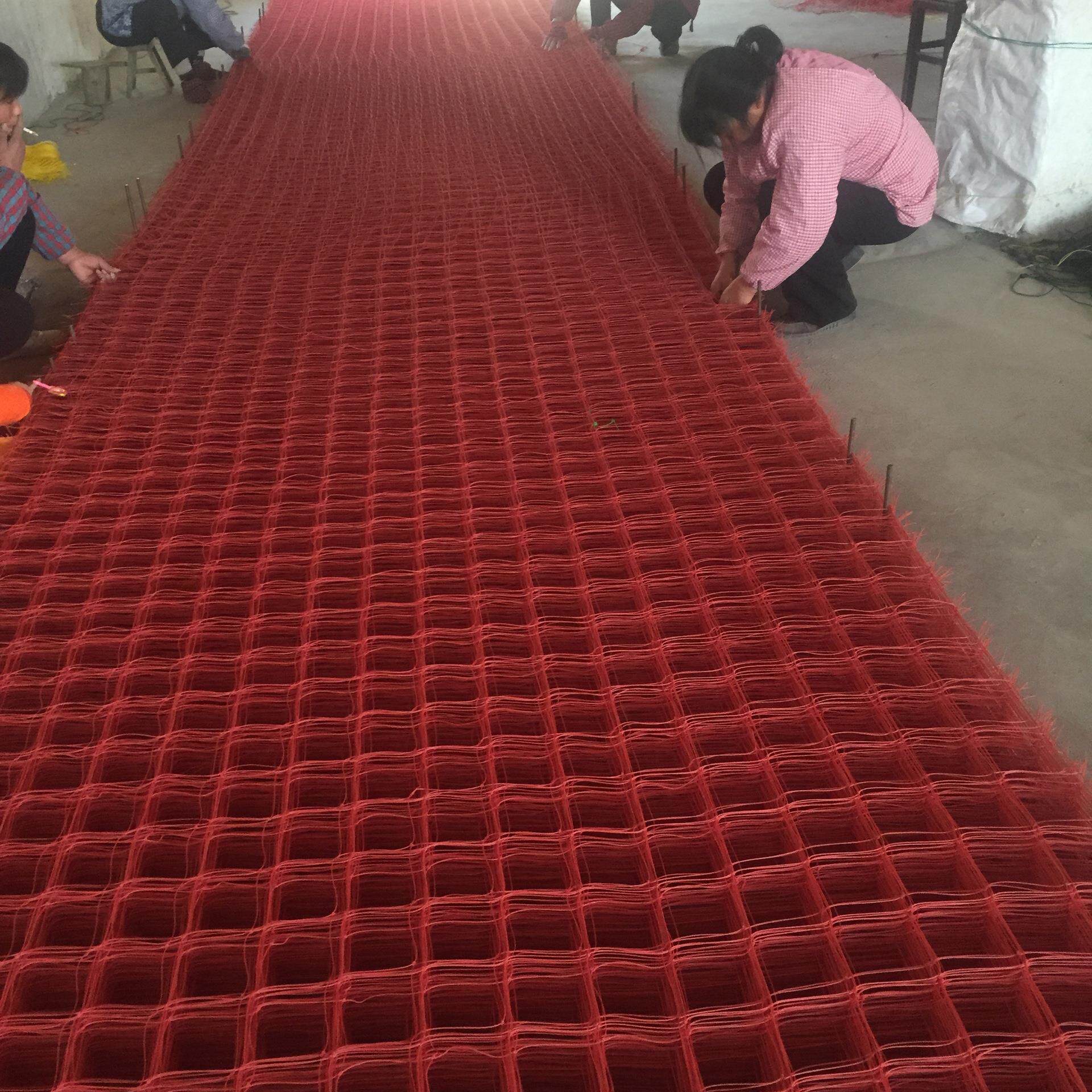 大棚园艺爬藤网庭院加密园艺网农业用网黄瓜网掉瓜网