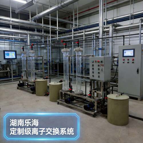 定制离子交换设备 离子交换柱树脂柱交换器 离子交换PP交换柱厂家