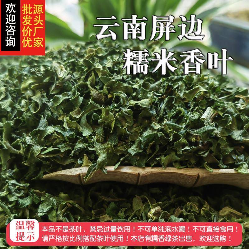 云南屏边糯米香叶麒麟大口茶专用普洱茶叶伴侣糯米香叶晒干纯叶子