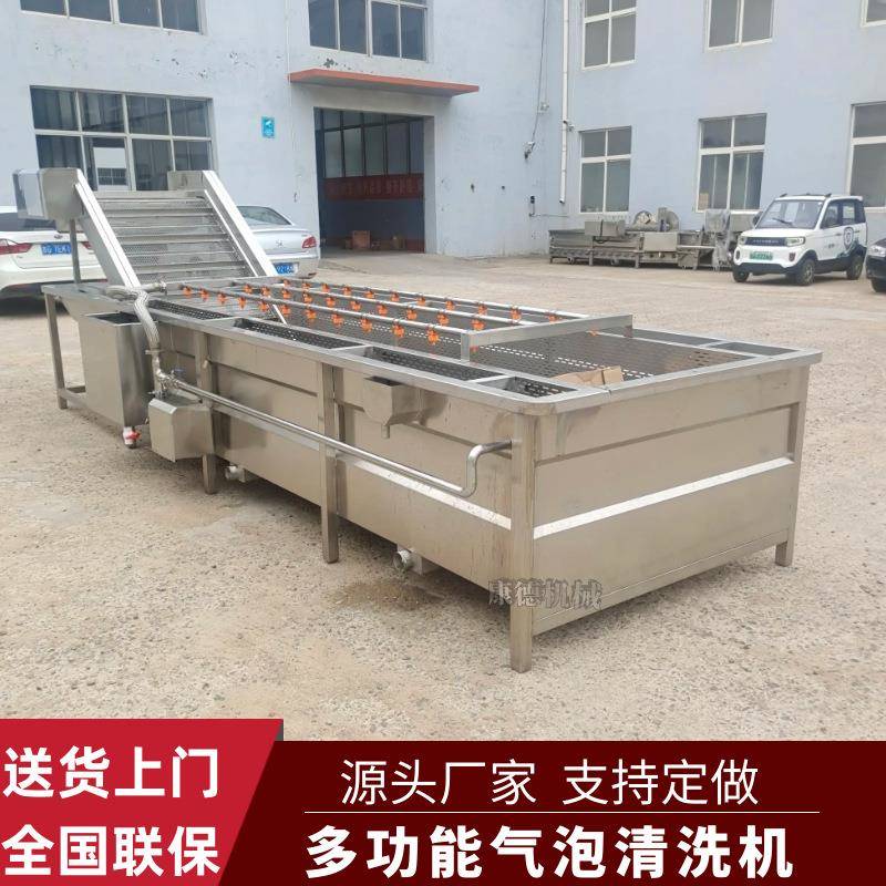 泡椒气泡清洗脱盐机毛豆风选去杂气泡清洗机玉米粒鼓泡式清洗机