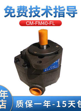 榆次CM-FM系列 14Mpa齿轮式液压马达 CM-FM40-FL齿轮马达