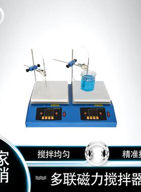 6联磁力搅拌器质量可靠ZNCL-DL多联磁力搅拌器