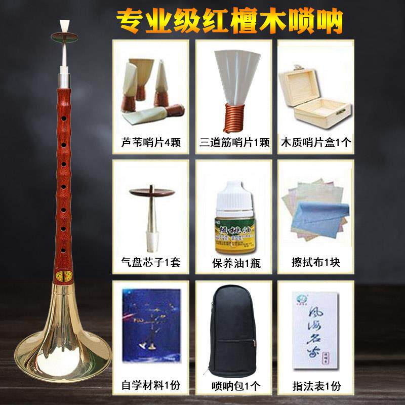 正品朝凤燕唢锁呐乐初学者全套乌木杆d器调调降b成人京专业呐送哨