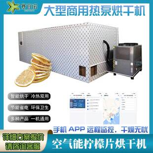 除湿开闭环柠檬片烘干机热泵果蔬苹果片香蕉片烘干设备多用途烘干