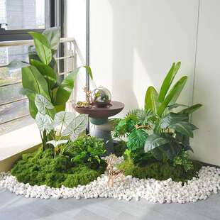 室内景观造景落地森系室内墙角造景布置绿植隔断落地流水摆件组合