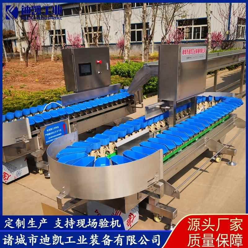 鸡翅分拣机设备全自动重量分选机设备鸡胸肉分选机设备可供应