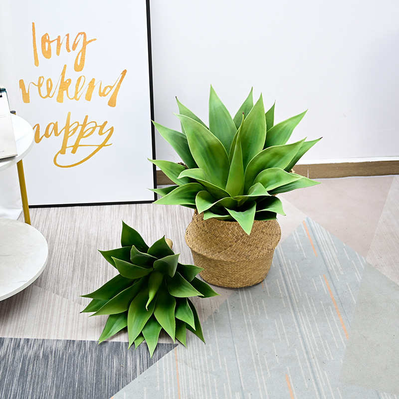 仿真龙舌兰假树假绿植北欧热带沙漠植物龙舌兰多肉植物造景小装饰